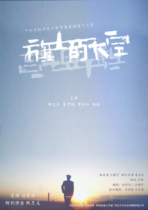 联邦大学diploma